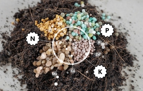 NPK Fertilizer Formula Ratio