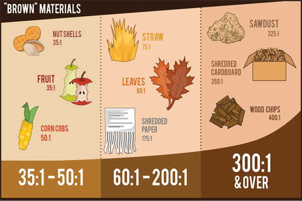 Brown Materials in The Compost