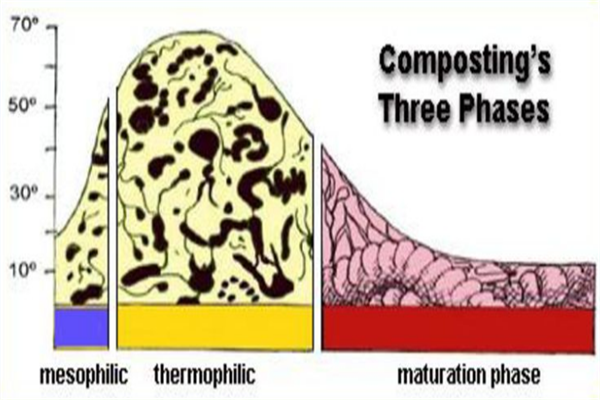 Composting Three Phases