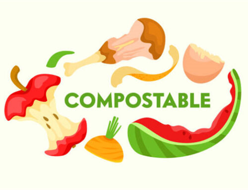 How to Make The Compost?