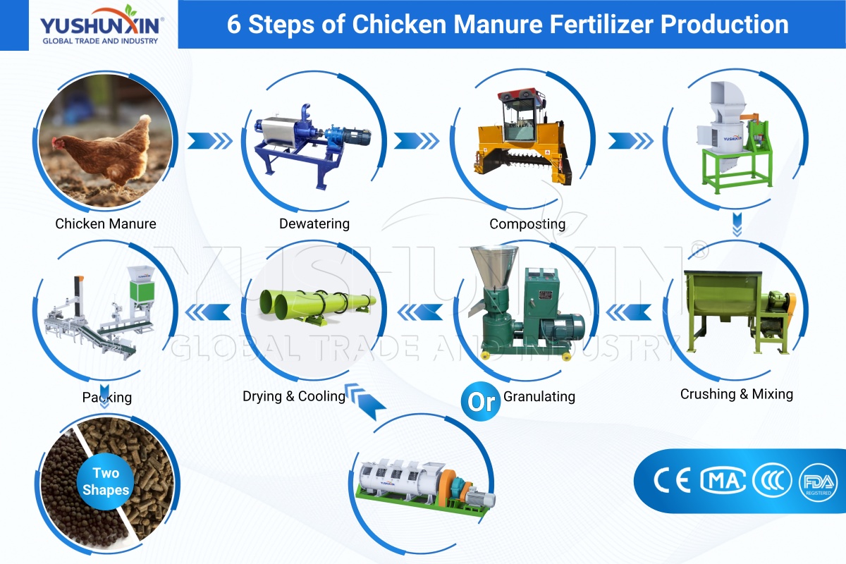 6 Steps of Chicken Manure Fertilizer Production