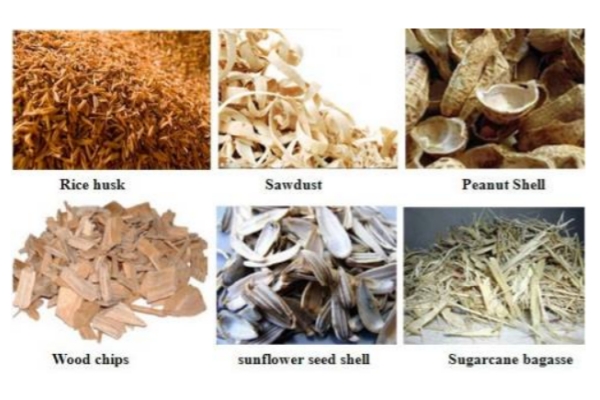 Biofuel Raw Materials