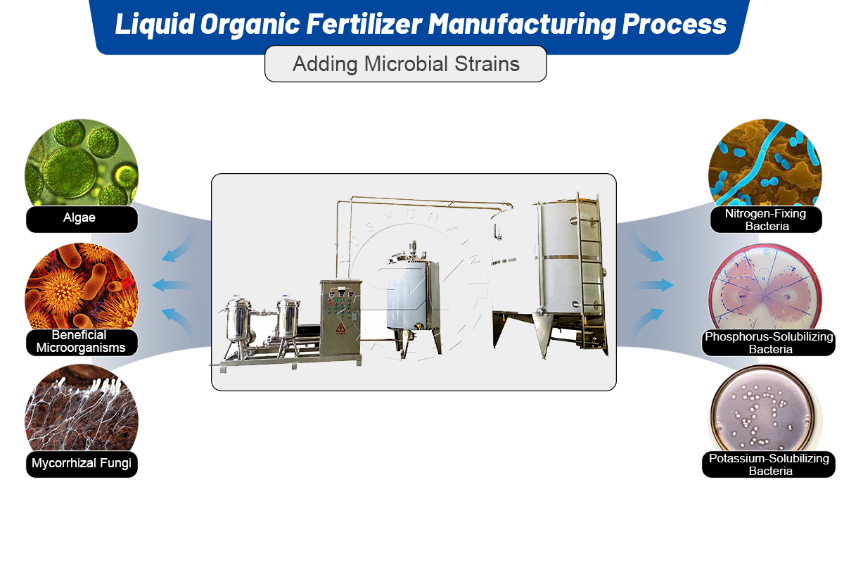 Microbial Strains in The Liquid Fertilizer Manufacturing